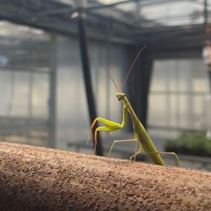 Meet your Posher, Kailey